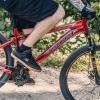 image:imageMongoose FlatrockRed